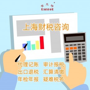 上海財務咨詢 財稅咨詢服務內容有哪些